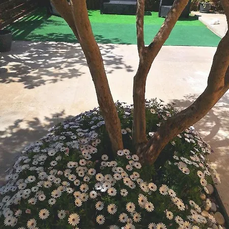 Sicily House Guest house Mondello